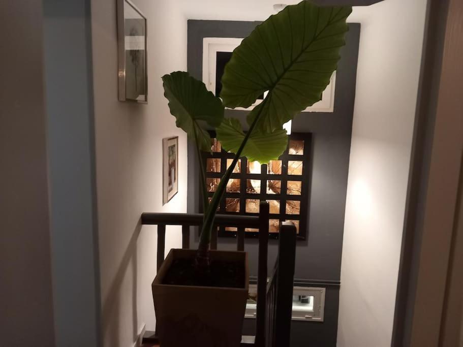 Maison Cosy - 4 Chambres Doubles Bergerac Bagian luar foto